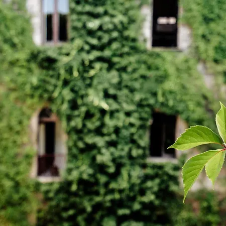 Palazzo Mazziotti * Celso
