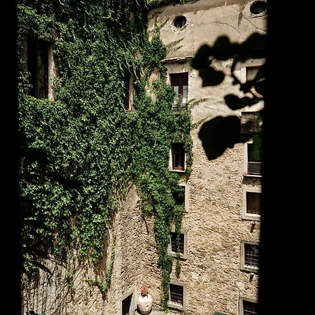 Palazzo Mazziotti Bed & Breakfast Celso