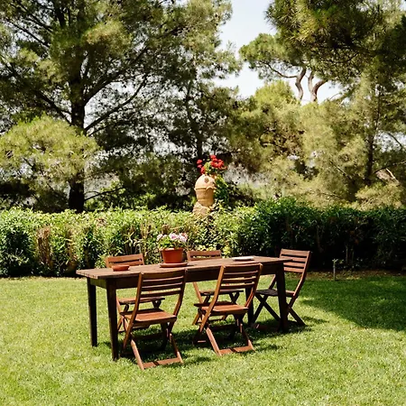 Palazzo Mazziotti Bed & Breakfast