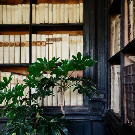 Palazzo Mazziotti Bed & Breakfast