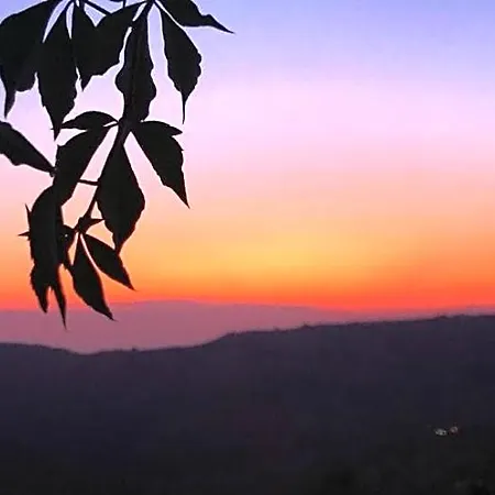 Bed & Breakfast Palazzo Mazziotti Celso