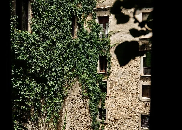 Palazzo Mazziotti Bed & Breakfast Celso